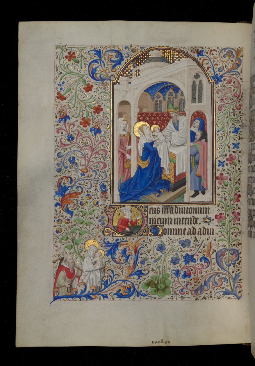 Darstellung im Tempel von Master Dunois