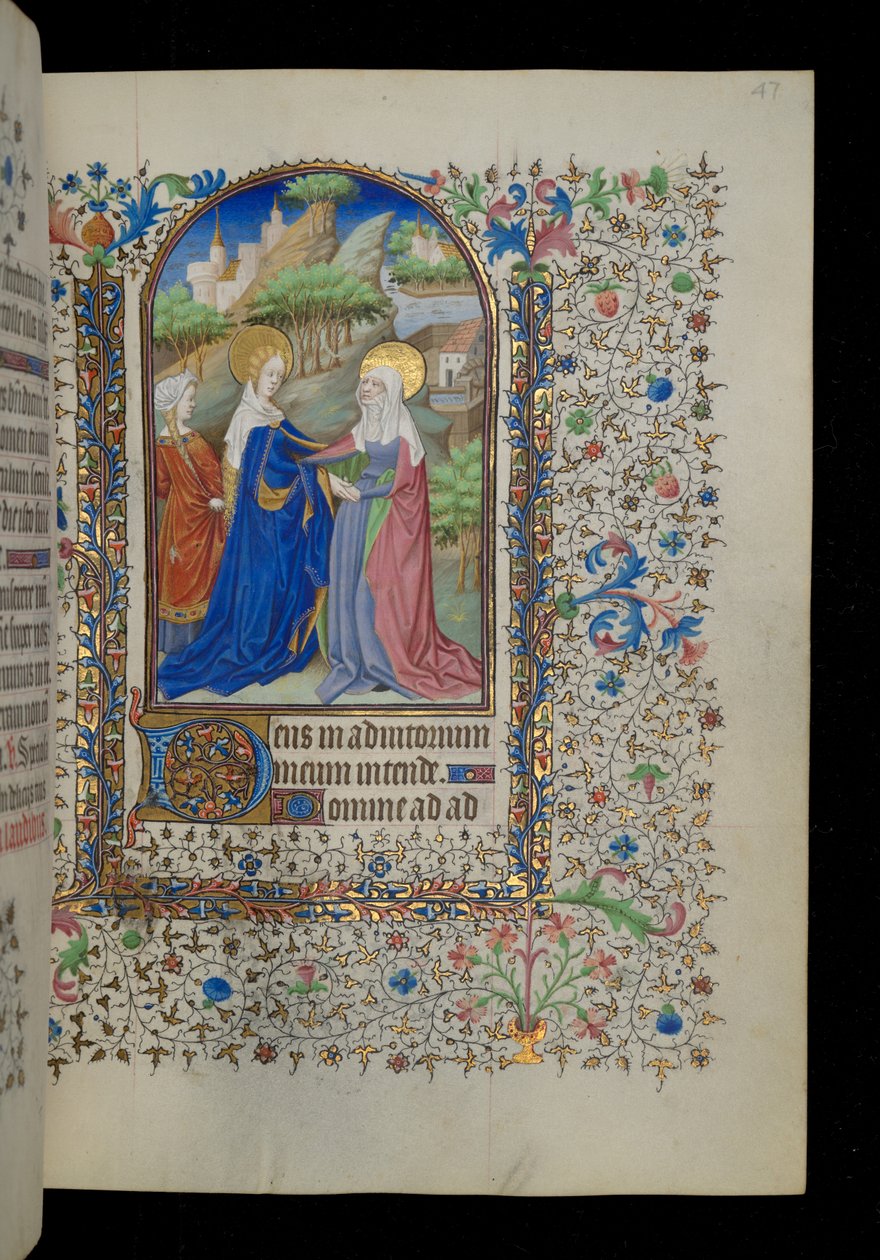 Heimsuchung von Master Dunois