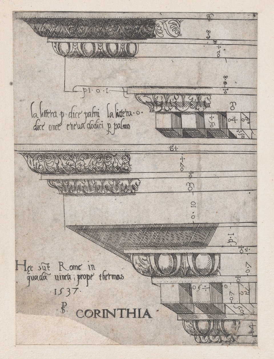 Speculum Romanae Magnificentiae: Korinthisches Gebälk, 1537 von Master PS