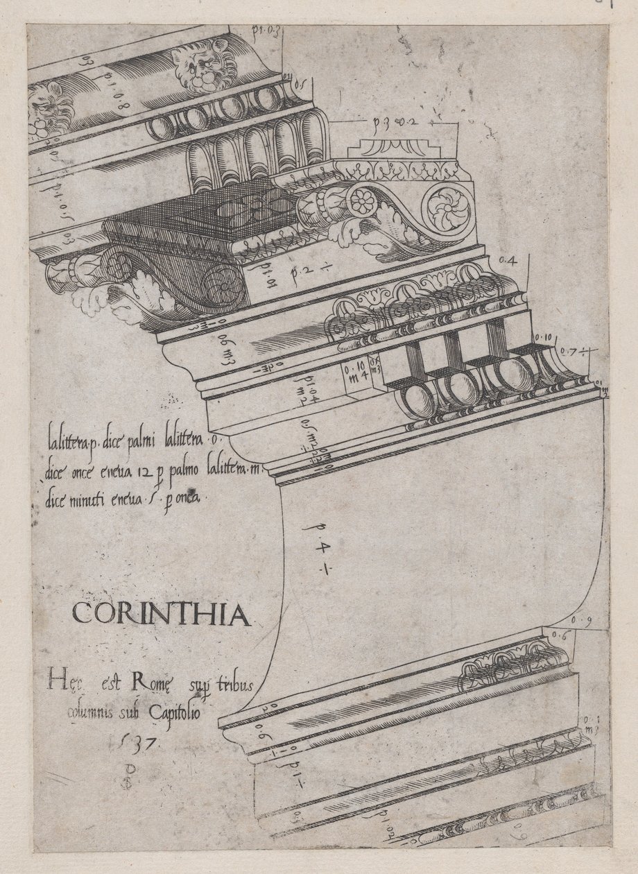 Speculum Romanae Magnificentiae: Gebälk vom Tempel des Vespasian, Rom, 1537 von Master PS