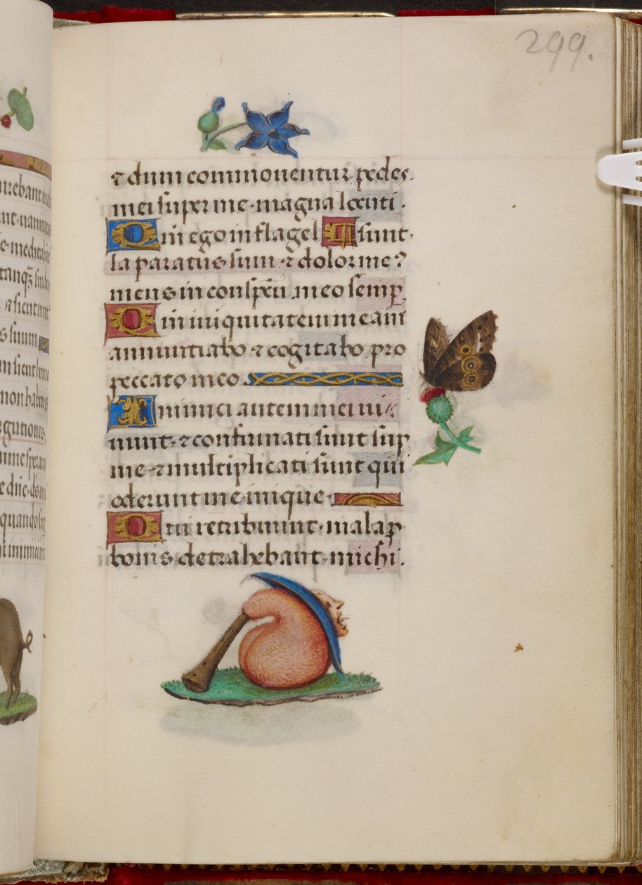 Dudelsack mit Hut aus den Stunden der Johanna von Kastilien von Master of the David Scenes