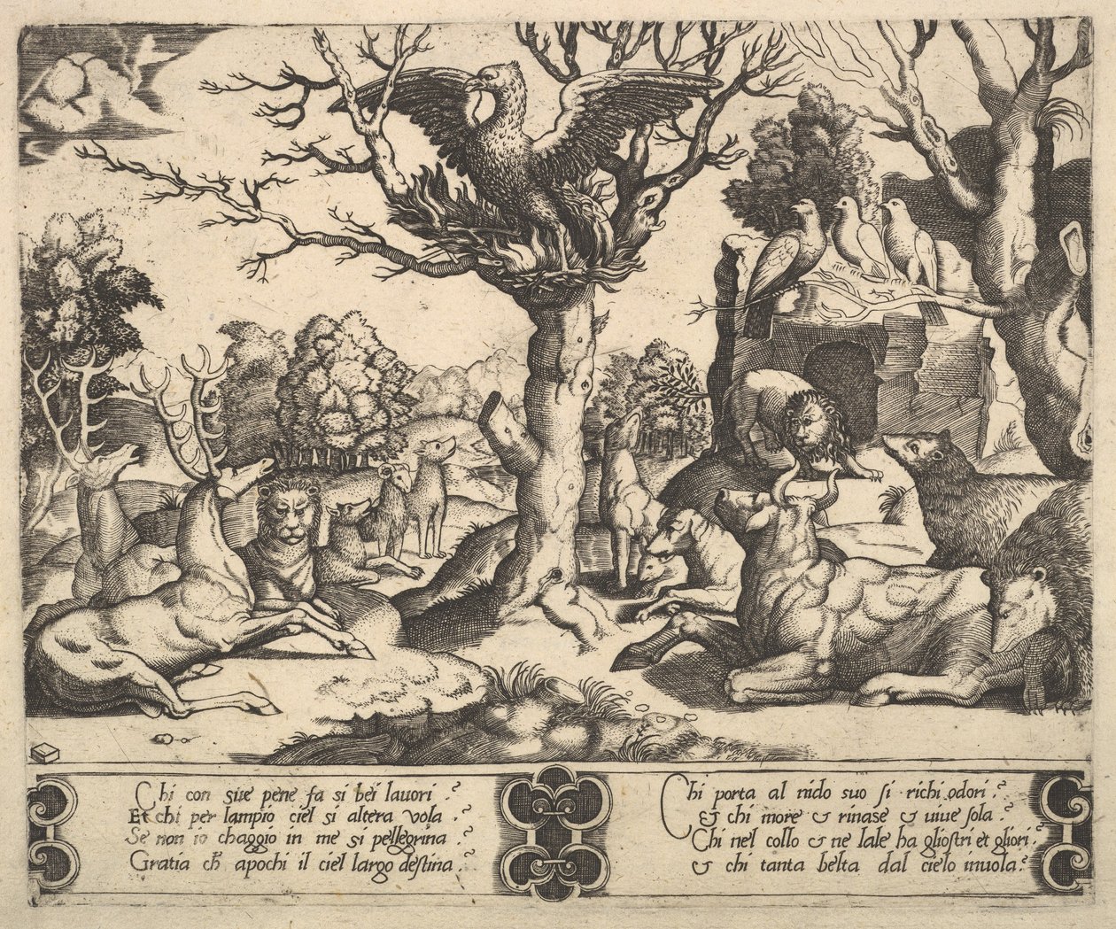 Ein Phönix auf einem Baum, Flügel geöffnet, eine Vielzahl von Tieren darunter, 1530-60 von Master of the Die