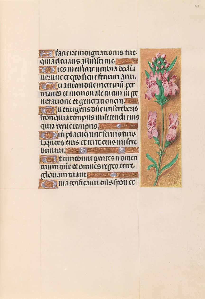 Stundenbuch der Königin Isabella der Katholischen, Königin von Spanien: Fol. 207r, um 1500 von Master of the First Prayerbook of Maximillian