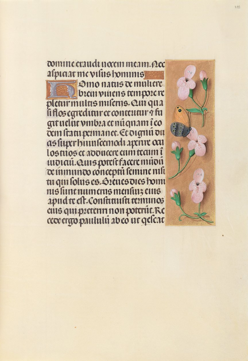 Stundenbuch der Königin Isabella der Katholischen, Königin von Spanien: Fol. 238r, ca. 1500 von Master of the First Prayerbook of Maximillian