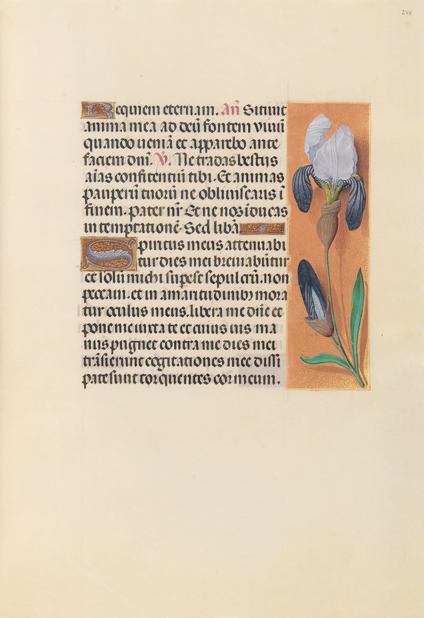 Stundenbuch der Königin Isabella der Katholischen, Königin von Spanien: Fol. 244r, ca. 1500 von Master of the First Prayerbook of Maximillian
