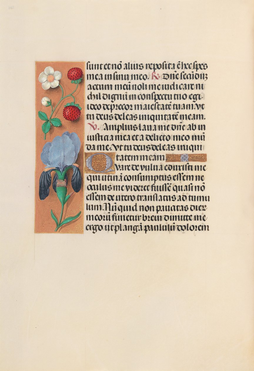Stundenbuch von Königin Isabella der Katholischen, Königin von Spanien: Fol. 245v, ca. 1500 von Master of the First Prayerbook of Maximillian