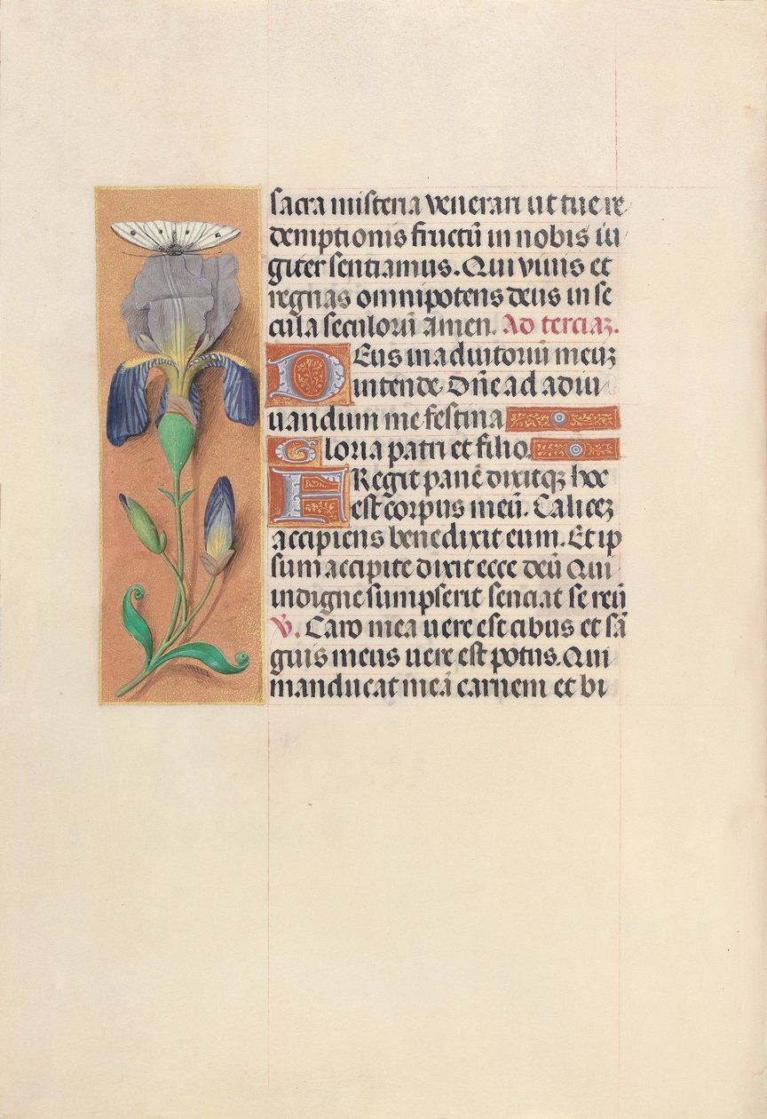 Stundenbuch der Königin Isabella die Katholische, Königin von Spanien: Fol. 45v, ca. 1500 von Master of the First Prayerbook of Maximillian