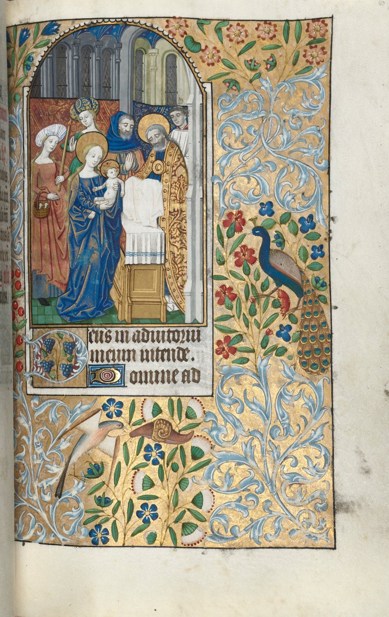 Stundenbuch Gebrauch von Rouen: fol. 67r, Darstellung des Christuskindes im Tempel, ca. 1470 von Master of the Geneva Latini