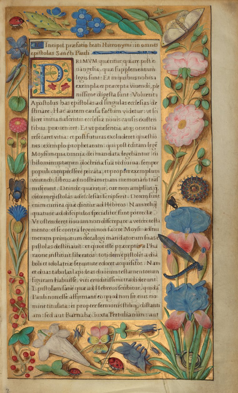 Dekorierte Textseite von Master of the Getty Epistles