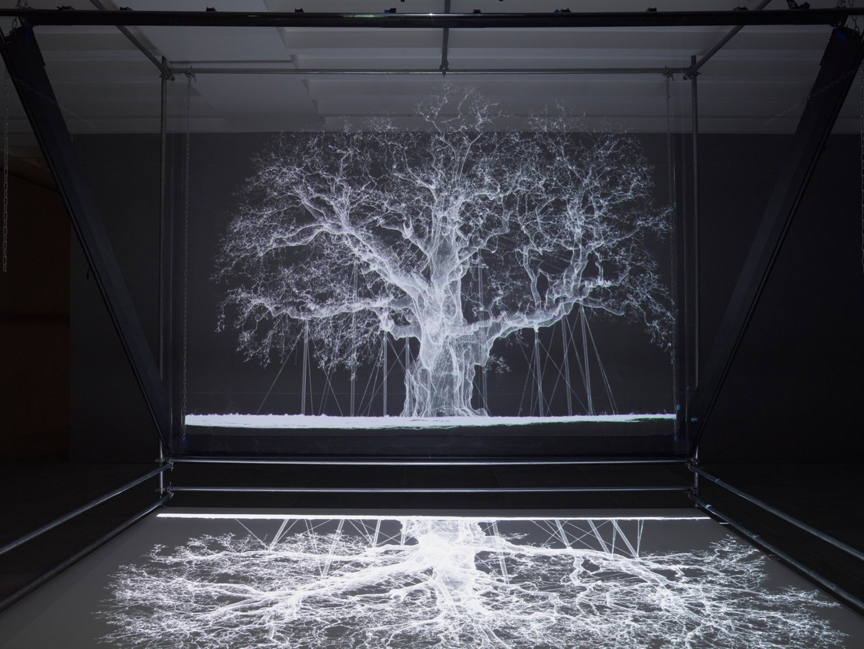 Albion, 2017 von Mat Collishaw