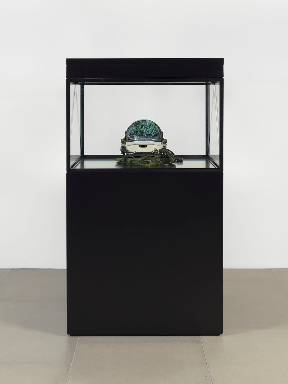 Alpha Omega, 2016 von Mat Collishaw