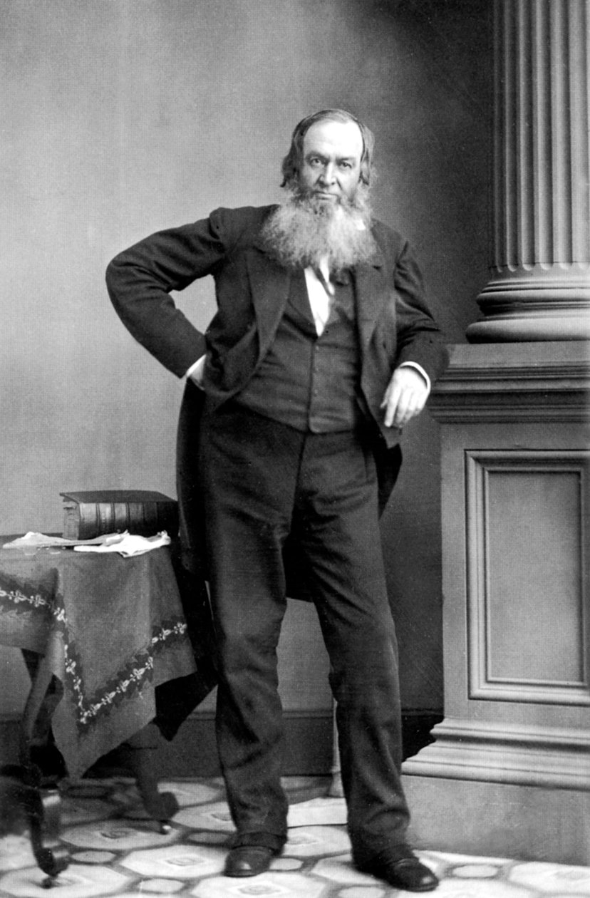 Gerrit Smith: Amerikanischer Politiker, New York von Mathew B. Brady