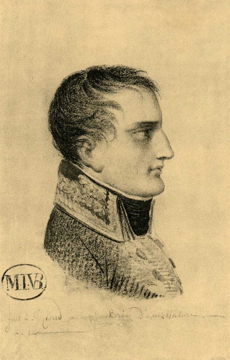 Napoleon als Erster Konsul von Mathieu Van Brée