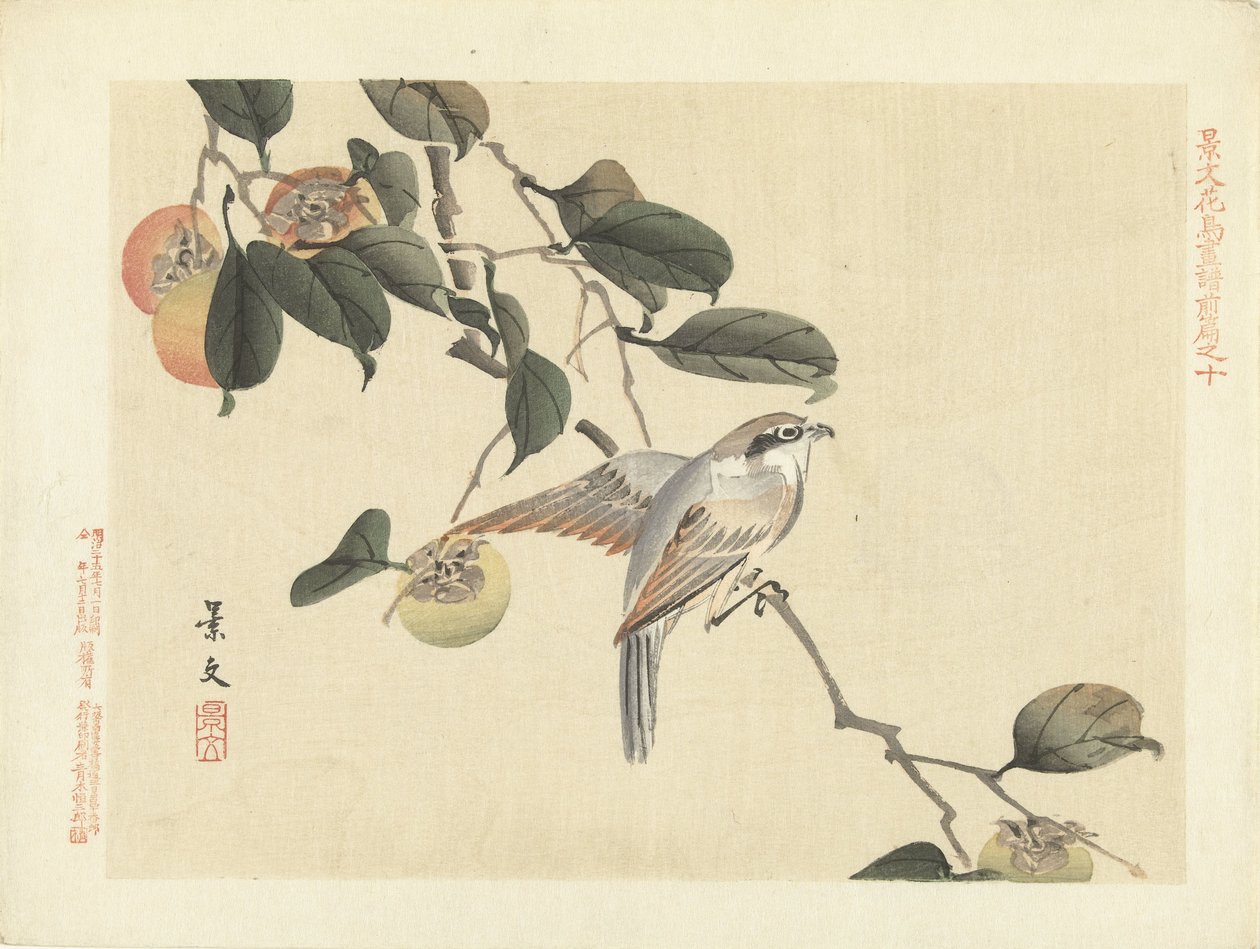 Vogel und Kaki (Blumen- und Vogelskizzen von Keibun - Teil eins) von Matsumura Keibun