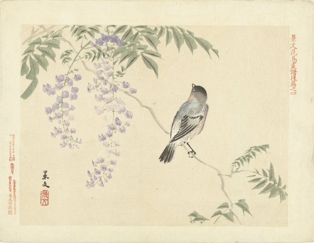 Vogel auf Wisteria-Zweig (Blumen- und Vogelskizzen von Keibun, Teil drei) von Matsumura Keibun