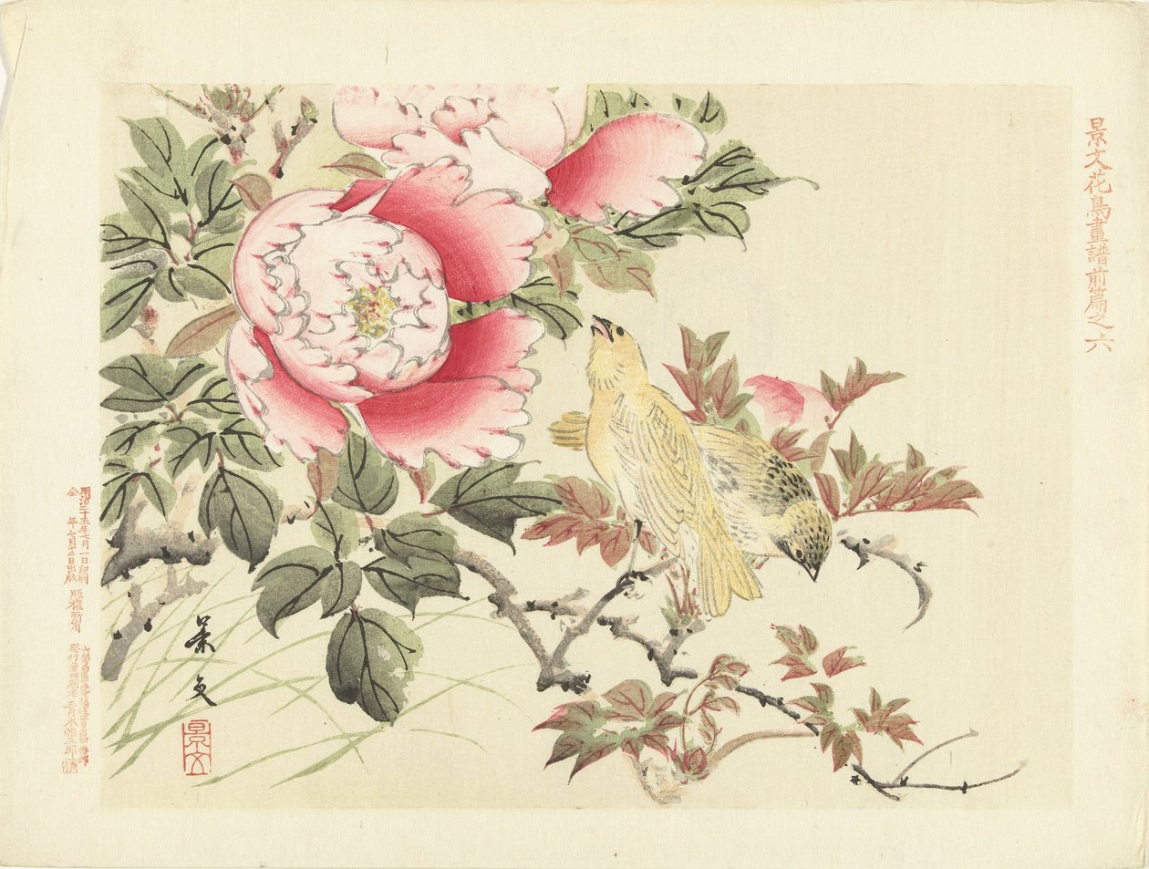 Vögel und Pfingstrosen von Matsumura Keibun