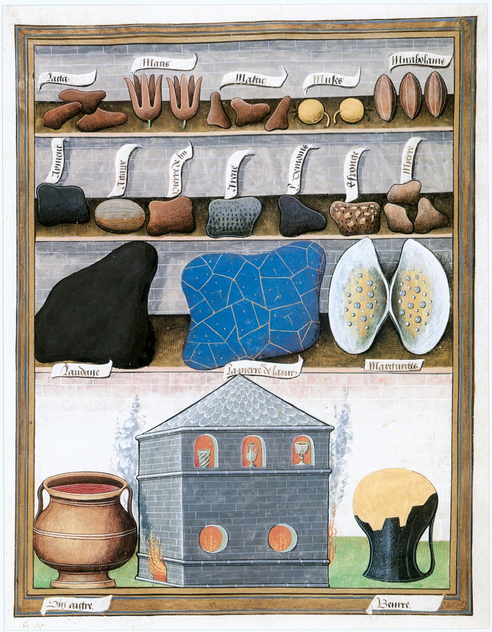 Le Livre des Simples Medecines, Ende 15., Anfang 16. Jahrhundert von Matthaeus Platearius