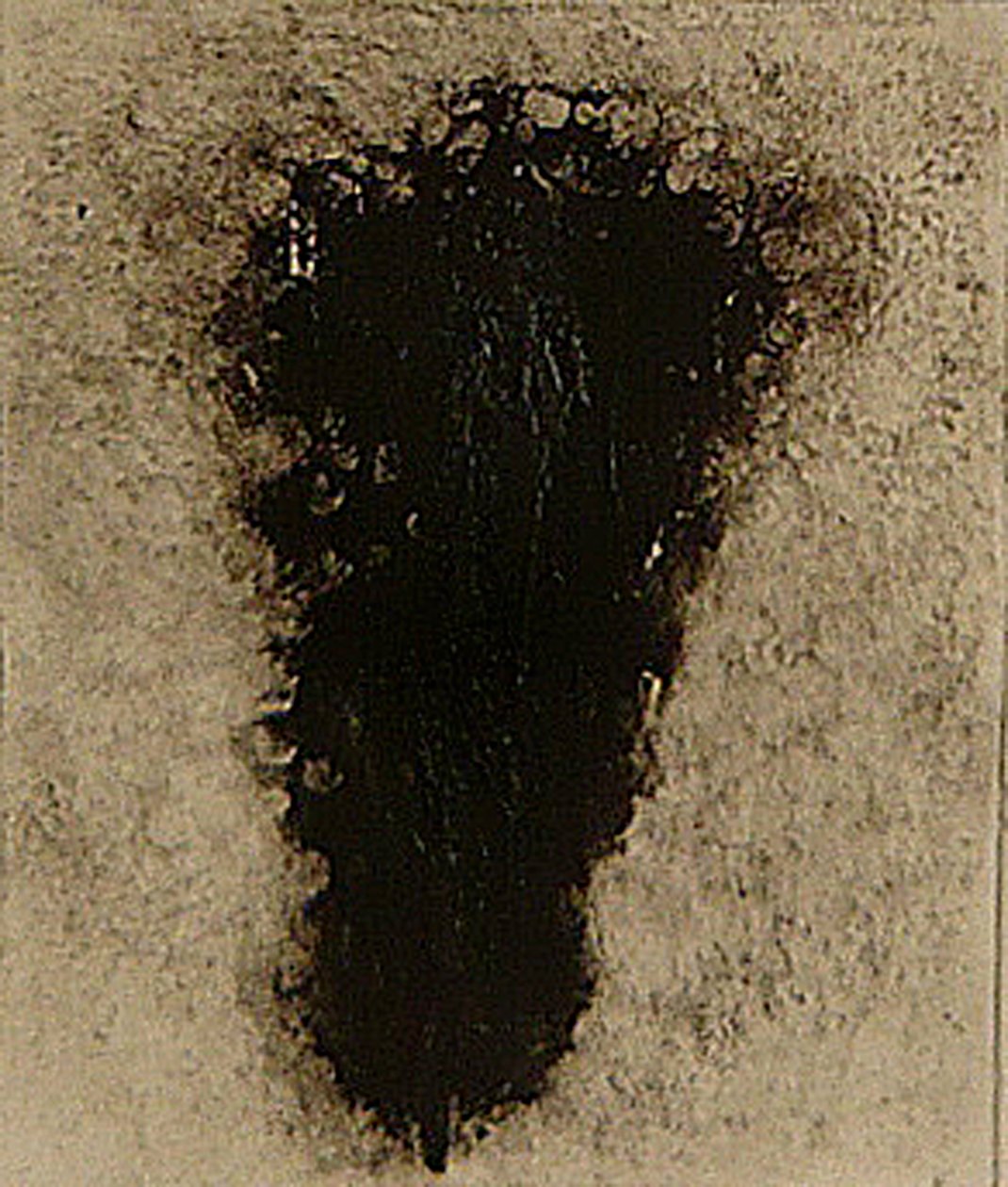 Ossie, 2009 von Matthew Hilton