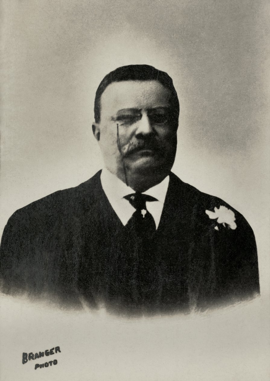 Porträt von Theodore Roosevelt, Präsident der Vereinigten Staaten von Maurice-Louis Branger