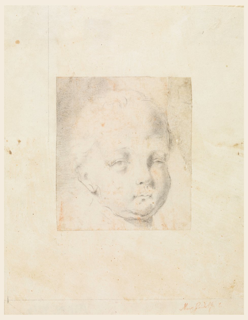 Zeichnung, Studie: Kopf eines Jungen, 1810–34 von Mauro Gandolfi