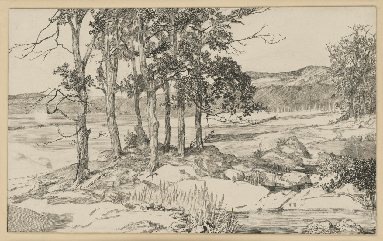 Landschaft mit Kiefernstand und Teich von Max Klinger