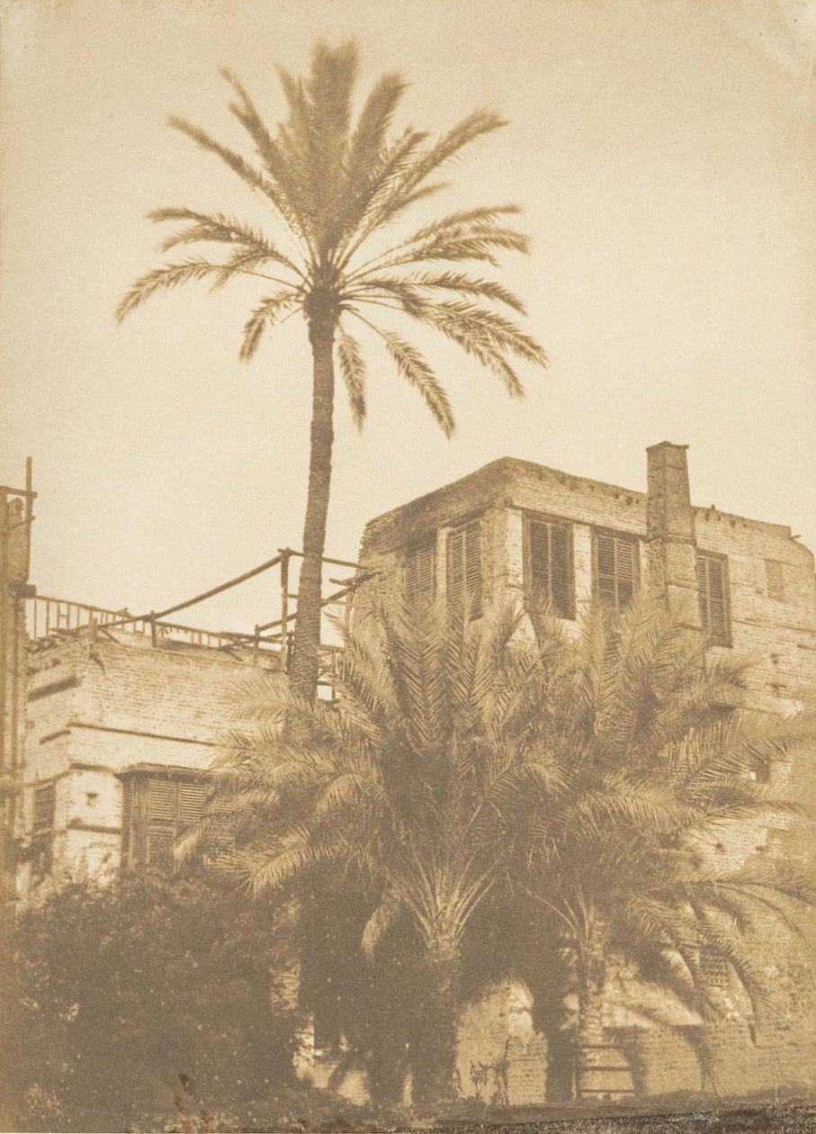 Datteln und Haus im französischen Viertel, Kairo, Dezember 1849-Januar 1850 von Maxime Du Camp