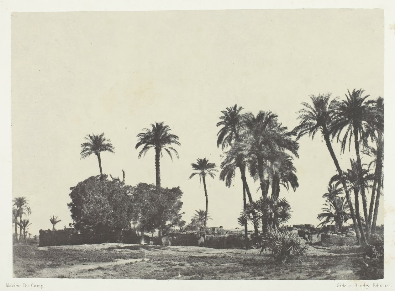 Dorf Hamameh, Oberägypten, 1849-51, gedruckt 1852 von Maxime Du Camp