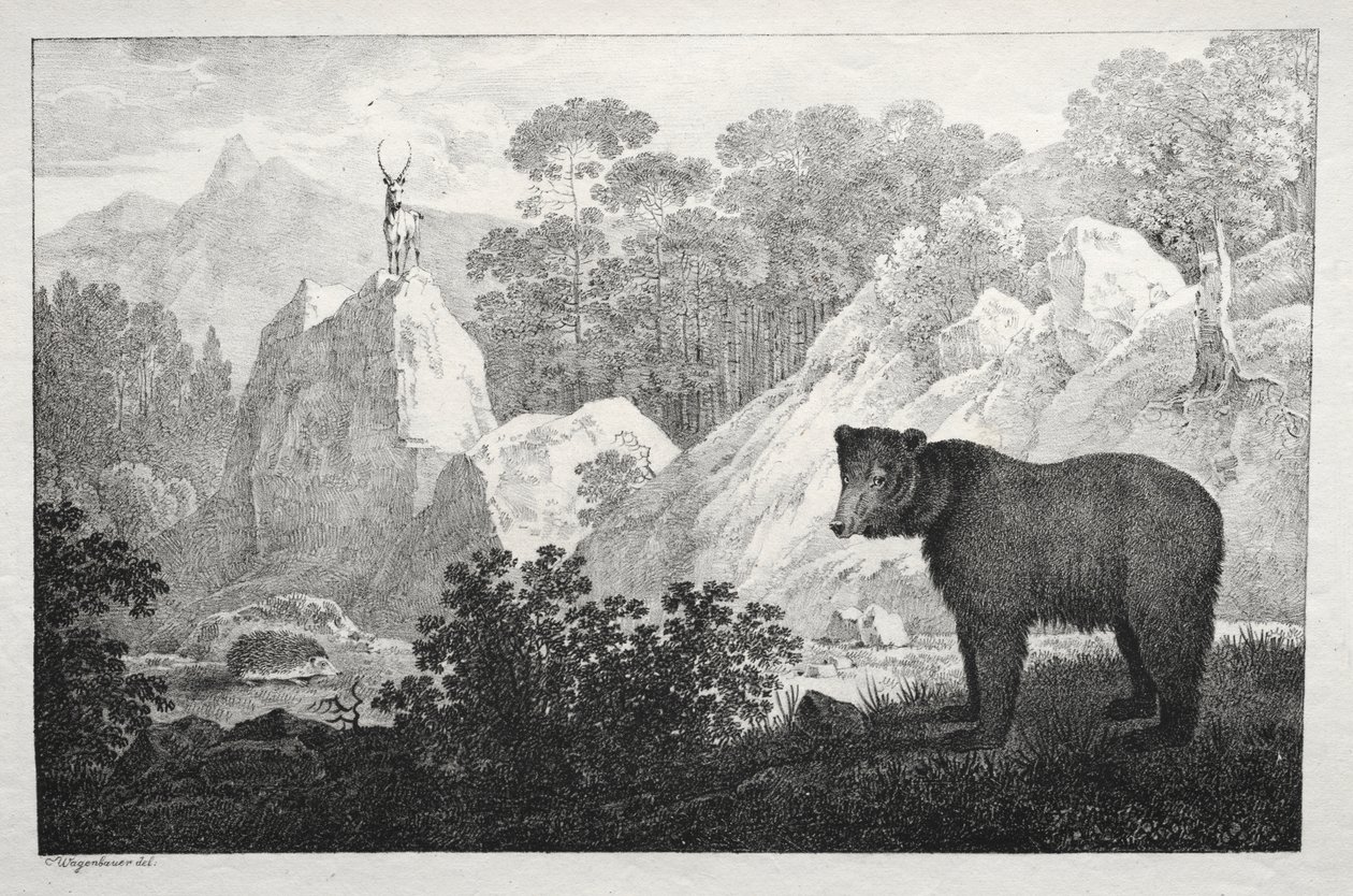 Gebirgslandschaft mit Bär im Vordergrund von Maximilian Josef Wagenbauer