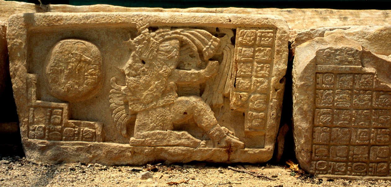 Flachrelief eines Ballspielers, der Ball und die Glyphen, die eine Beschreibung geben, Spätklassische Periode (700-900 n. Chr.) von Mayan