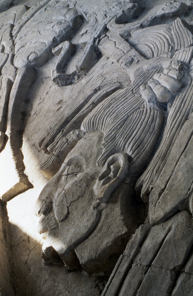 Relief auf einer Pyramide, Spätklassische Periode (600-900 n. Chr.) von Mayan