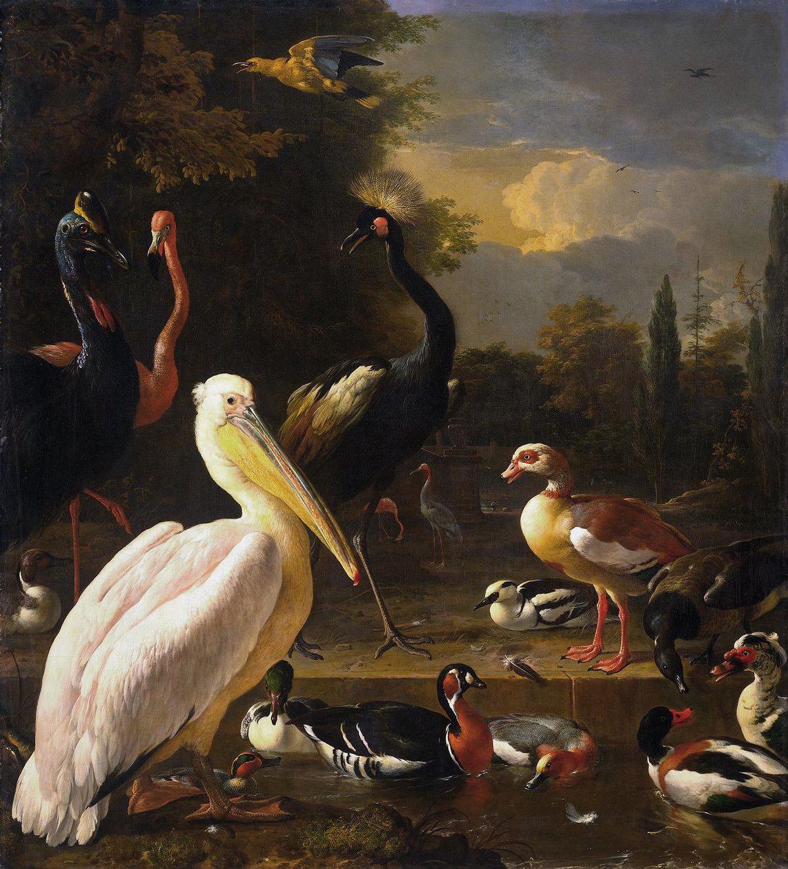 Ein Pelikan und andere Vögel in der Nähe eines Teiches, bekannt als 