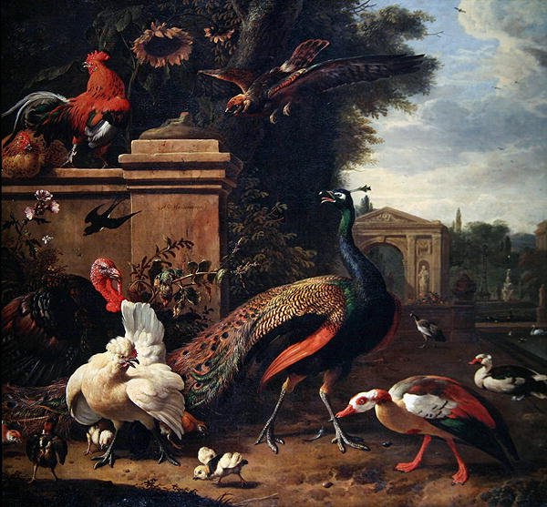 Ein Pfau, ein Falke und verschiedene Hühner und Enten in einem Park von Melchior de Hondecoeter