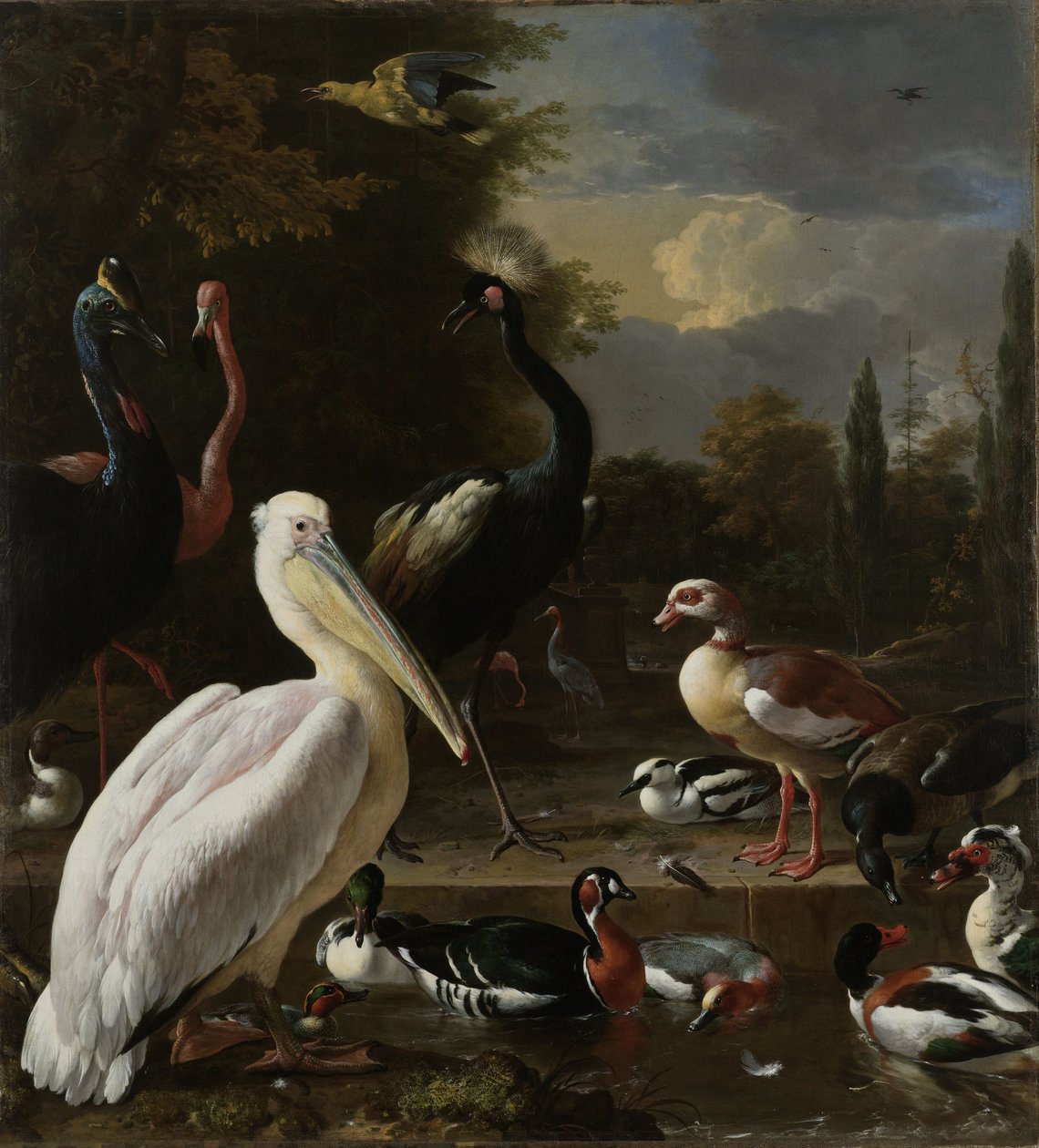 Ein Pelikan und andere Vögel in der Nähe eines Teichs, bekannt als 