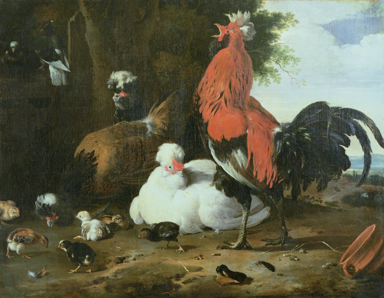 Hofgeflügel mit Tauben von Melchior de Hondecoeter