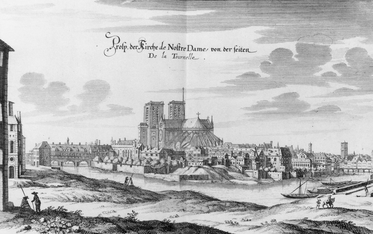 Blick vom linken Ufer der Seine auf die Île de la Cité und Notre Dame, aus 