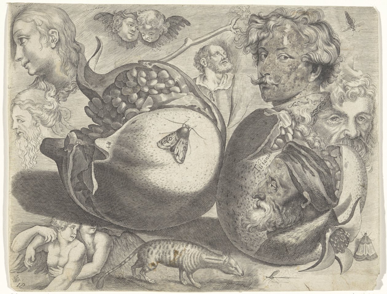 Studienblatt mit Zeichenbeispielen: Köpfe, Figuren, Früchte, Tiere von Michael Snijders