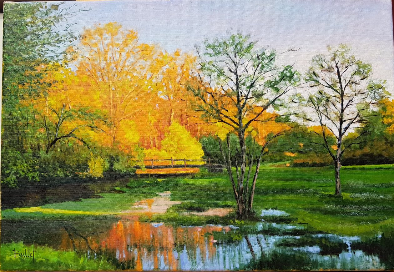 Überflutetes Feld in Gironde von Michel Bultet