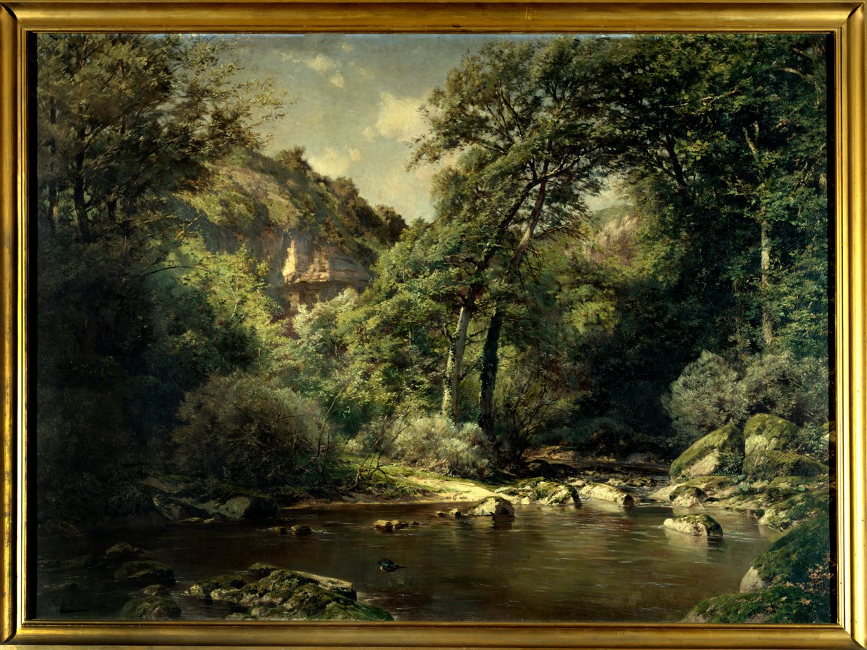 Der Wildbach bei Cerveyrieux im Ain von Michel Emile