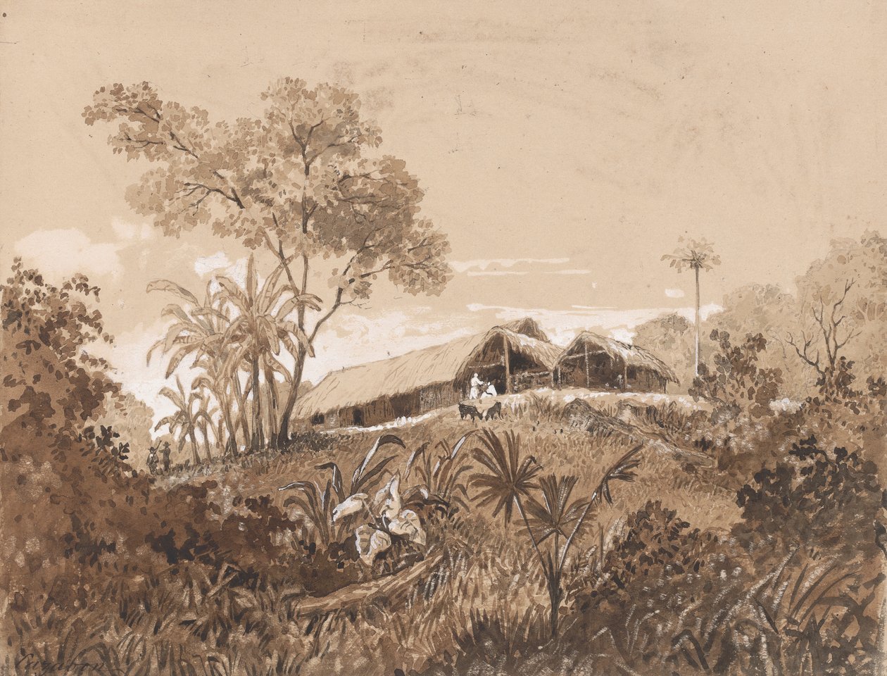 Das Häuschen, Mount Tamana von Michel Jean Cazabon