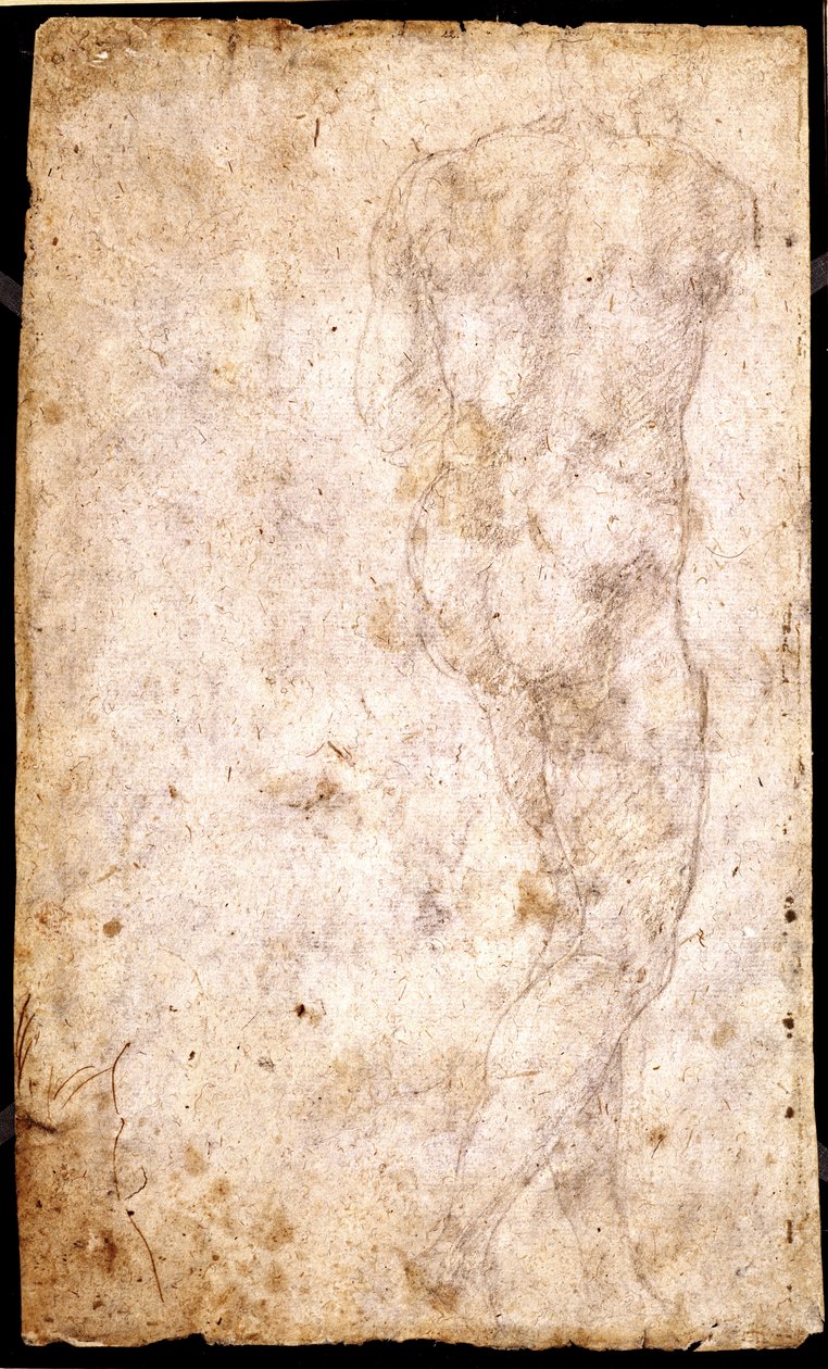 Studie eines männlichen Aktes von Michelangelo Buonarroti