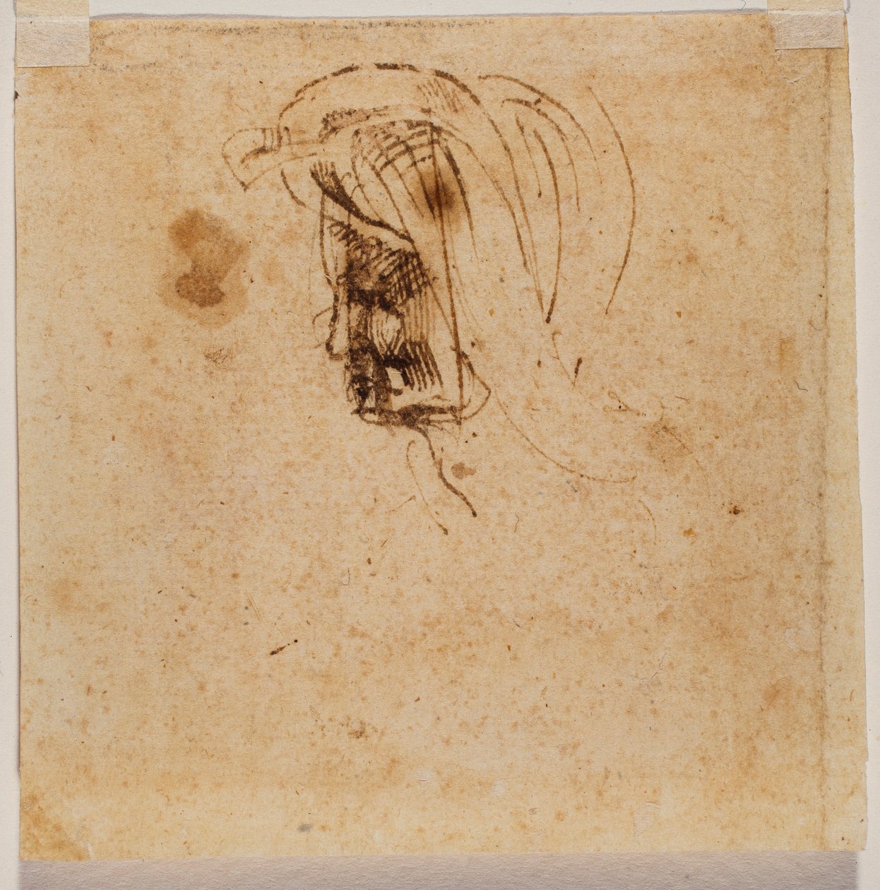 Weiblicher Kopf von Michelangelo Buonarroti