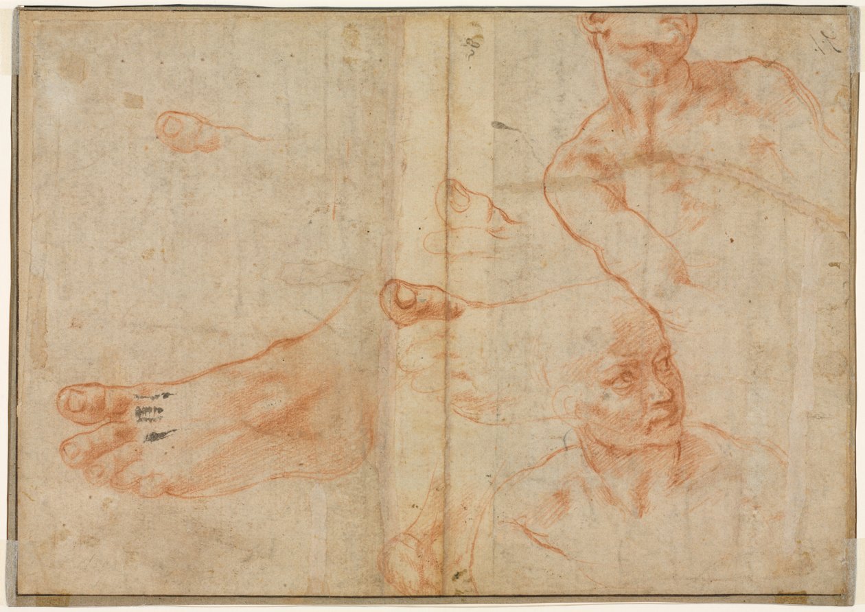 Figurenstudien für die Sixtinische Decke verso, 1510-11 von Michelangelo Buonarroti