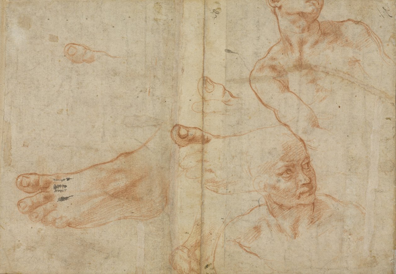 Figurenstudien für die Sixtinische Decke von Michelangelo Buonarroti