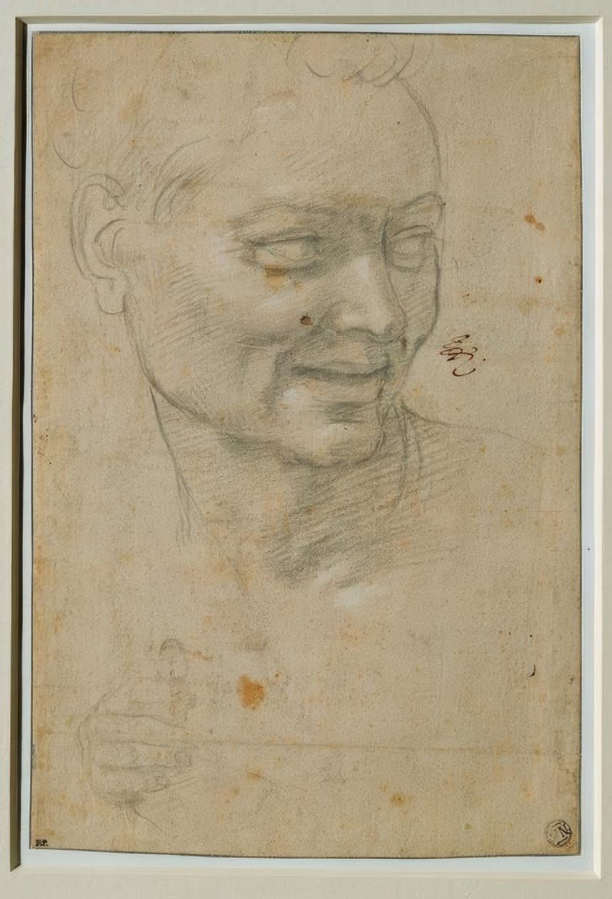 Kopf und rechte Hand des Ignudo über und links von Jesaja von Michelangelo Buonarroti
