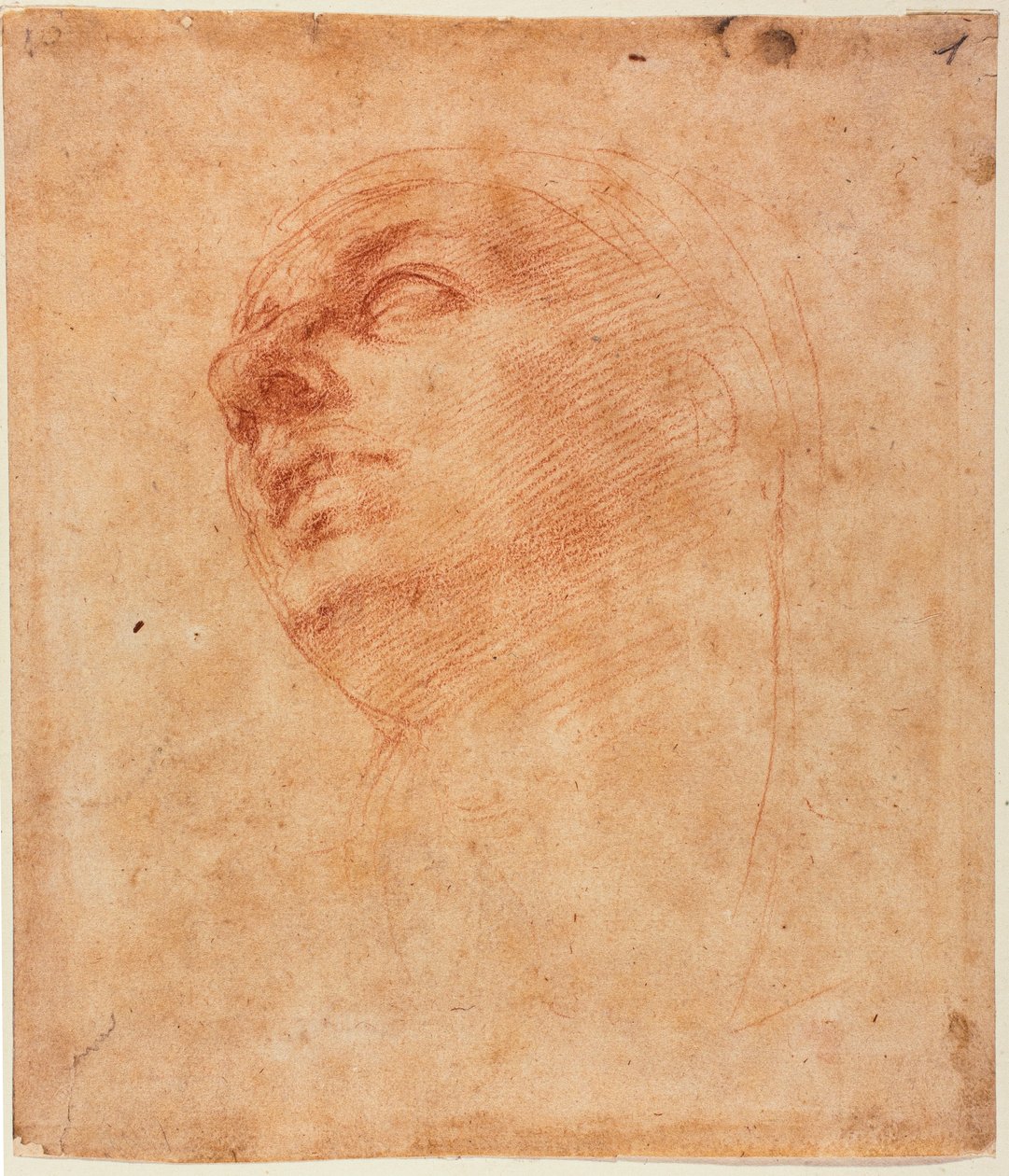 Kopfstudie für den Sixtinischen Jona von Michelangelo Buonarroti