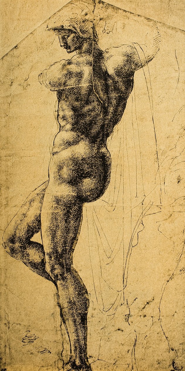 Aktstudie; Zeichnung von Michelangelo. Musée du Louvre, Paris von Michelangelo Buonarroti