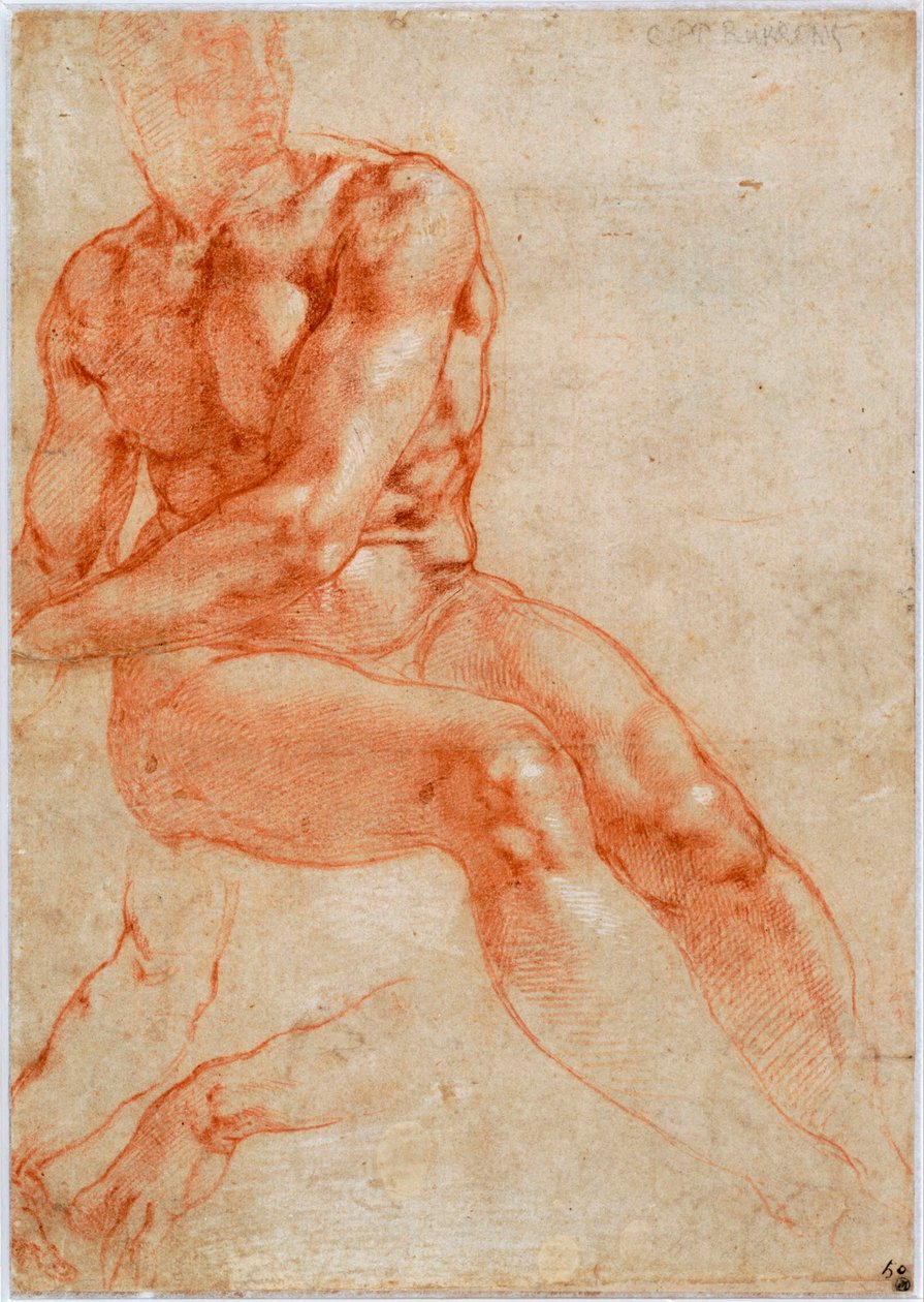 Sitzender junger männlicher Akt und zwei Armstudien, ca. 1510-1511 von Michelangelo Buonarroti