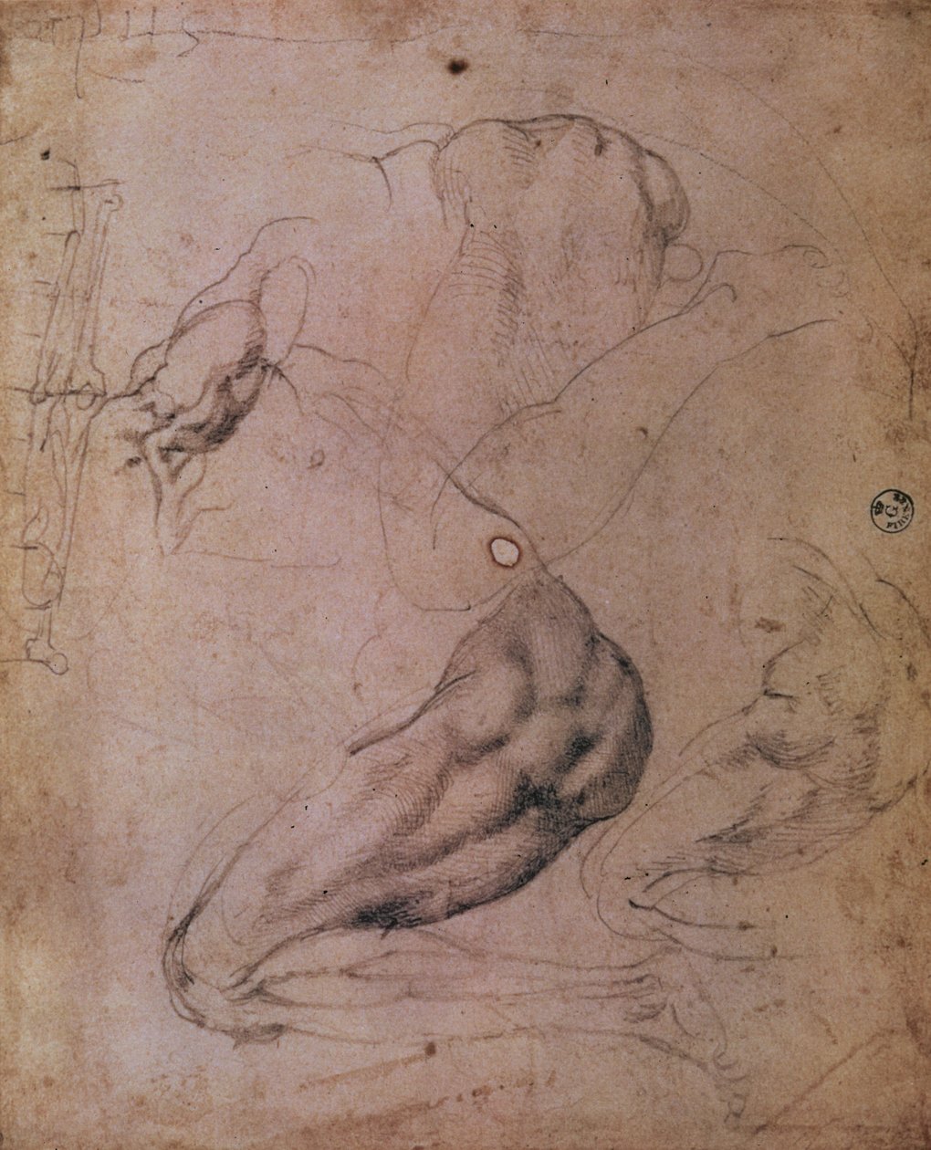 Sixtinische Kapelle Decke (1508-12): Skizzen der Figur von Eva aus der Szene der Erbsünde von Michelangelo Buonarroti
