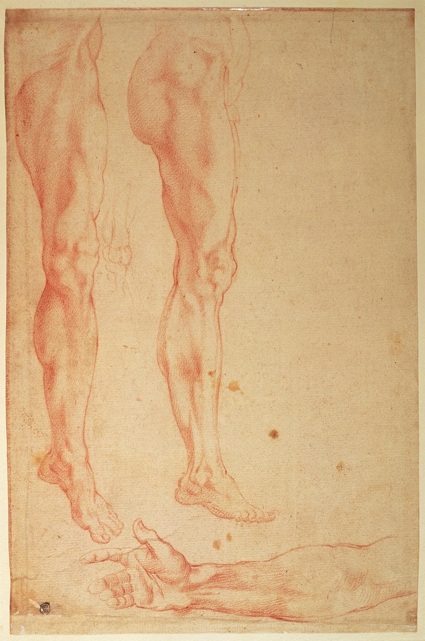 Studien von Beinen und Armen von Michelangelo Buonarroti