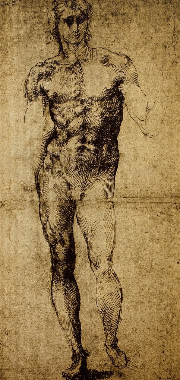 Studie für einen männlichen Akt, Michelangelo Buonarroti (1475-1564), Zeichnung, Paris, Louvre Museum von Michelangelo Buonarroti